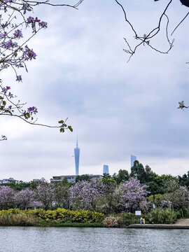 海珠湖公园