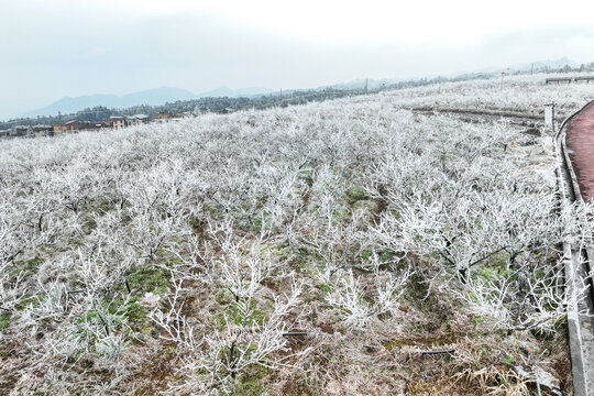 广西金秀巴勒冰凌雾凇世界引客来