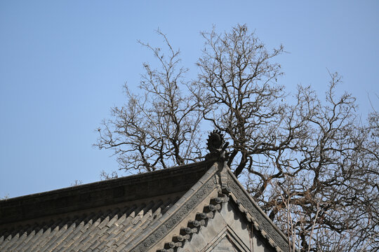 沈阳市北塔法轮寺