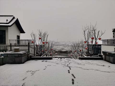 大雪雪景