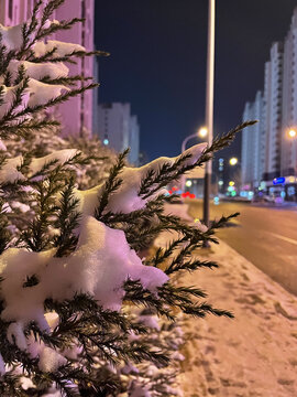 夜晚雪景