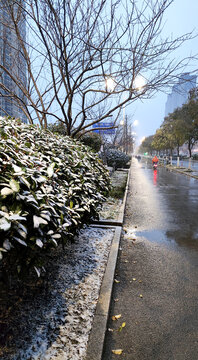 城市清晨的雪景