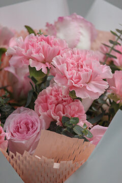 高清粉色康乃馨清晰图片