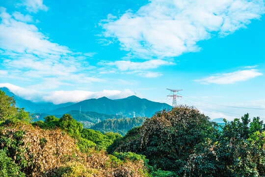 梧桐山风景