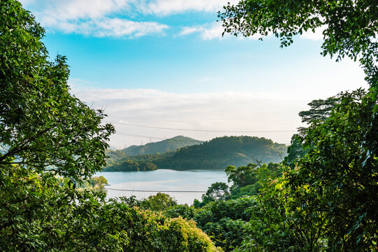 深圳水库