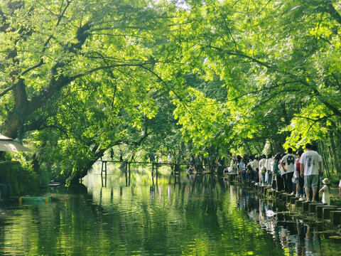 绿野仙踪