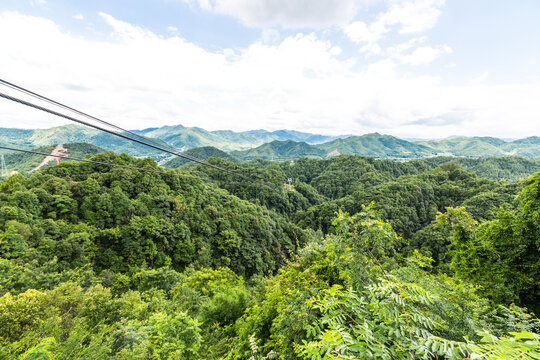 青山