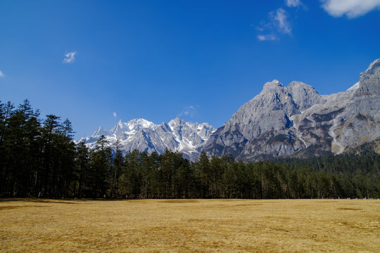 云南云杉坪观赏玉龙雪山美景壁纸