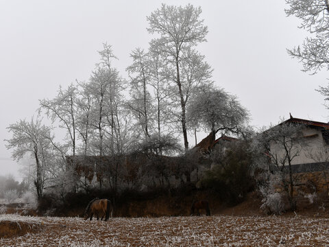 大凉山农村雪景