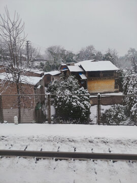 雪景