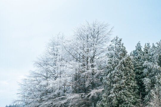 四明山雪景