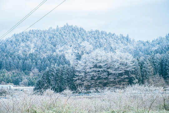 四明山雪景