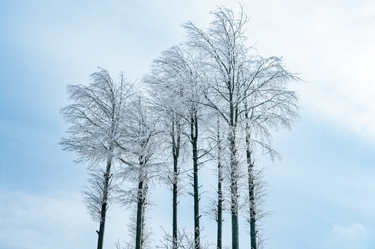 四明山雪景