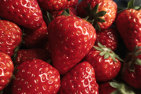 一堆红色新鲜奶油草莓健康水果