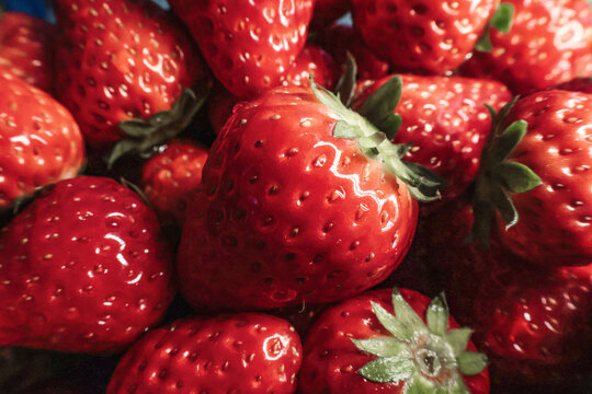 一堆红色新鲜奶油草莓健康水果