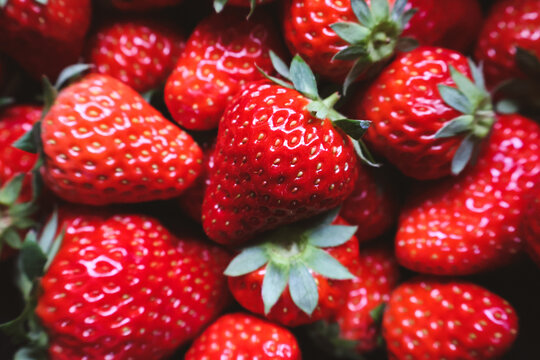 一堆红色草莓新鲜水果