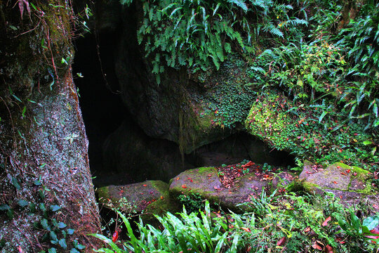 武夷山山涧山洞