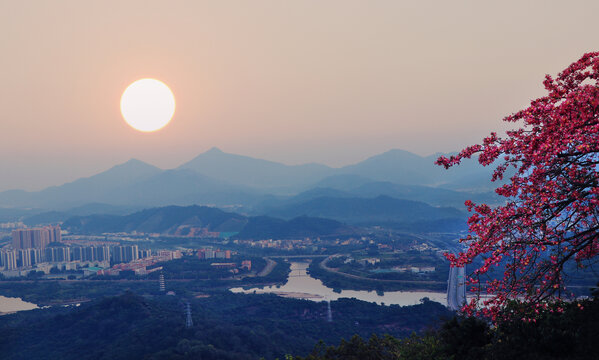 夕阳城市风光