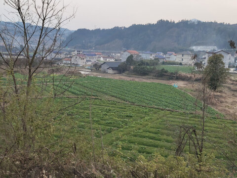 乡村田园风光