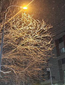 夜晚雪景