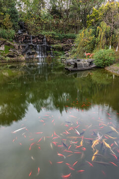 开州举子园景观鱼池自然风光