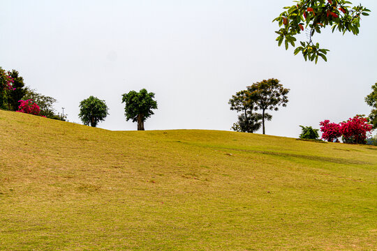 青秀山公园草地