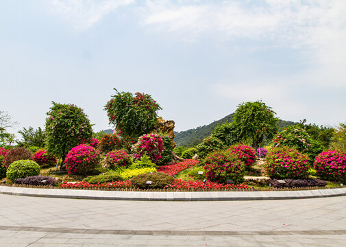 南宁青秀山叶子花园