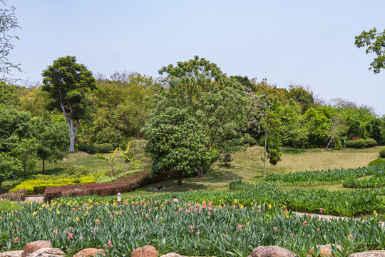 青秀山公园莫奈花园