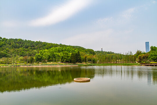 青秀山公园湖泊风光