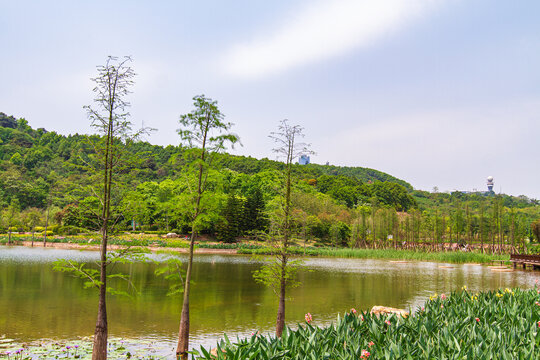南宁青秀山公园湖景