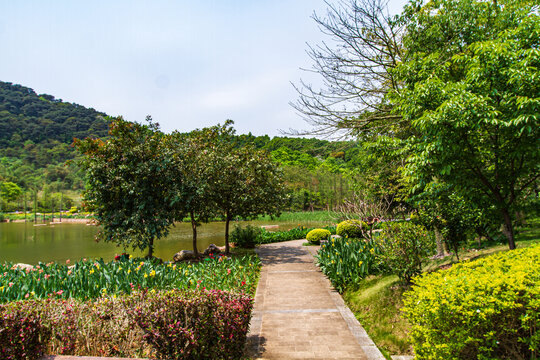 青秀山公园游览步道