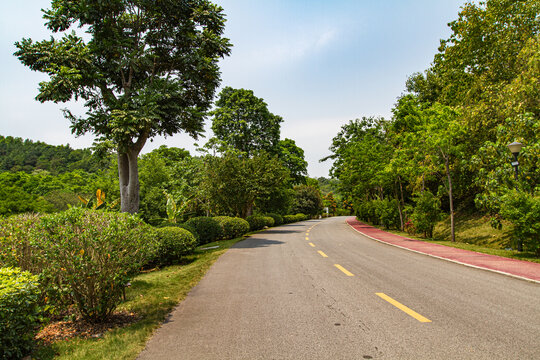 青秀山景区道路