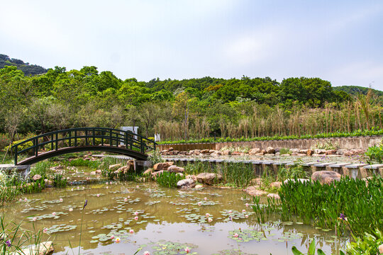 青秀山公园拱桥