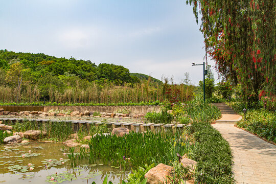 青秀山公园园林景观