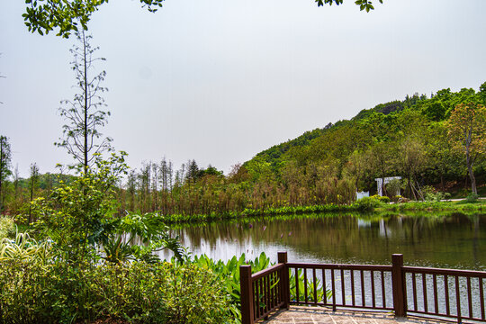 南宁青秀山景区风光