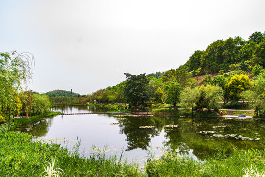 青秀山公园湖泊风光