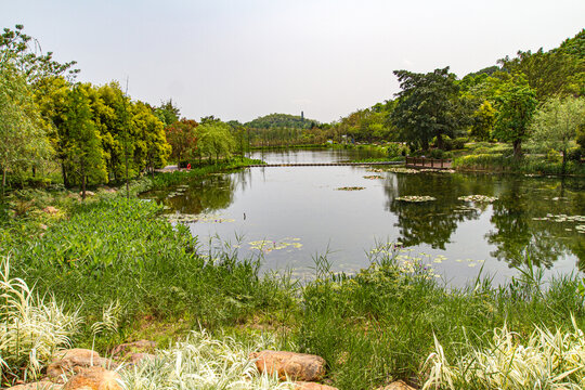 青秀山公园湖景