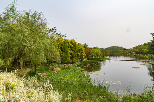 青秀山景区人工湖