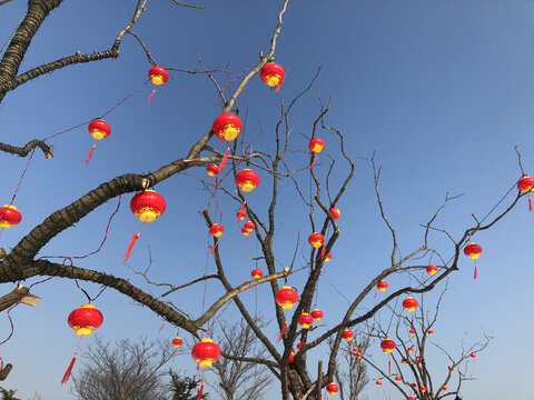 新年的装饰