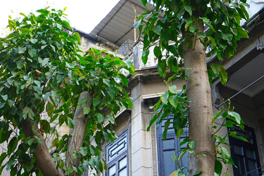 广州荔湾老房子