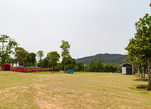 青秀山公园大草坪