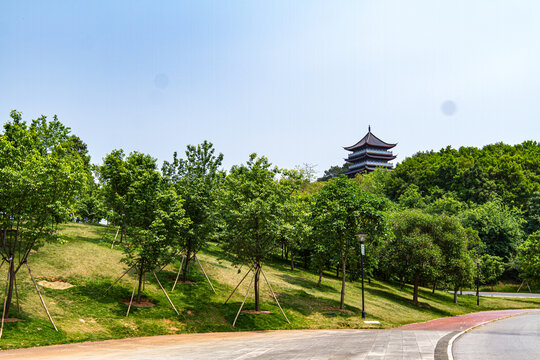 青秀山景区珍贵树种展示园