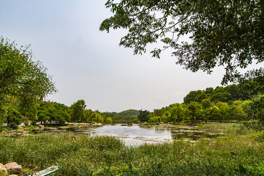 青秀山公园风光