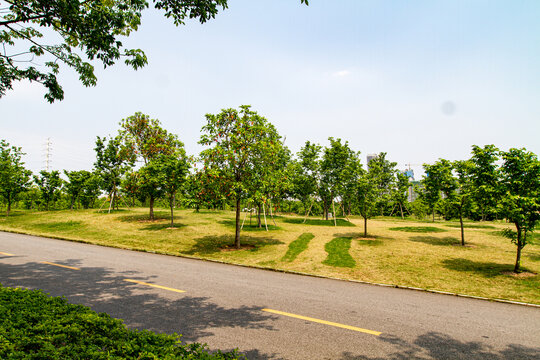 青秀山景区植物园