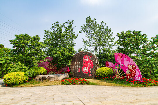 青秀山公园樱花园