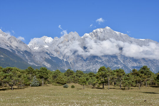 草原高山