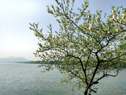 杭州西湖