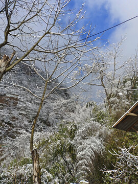 蓝天白雪