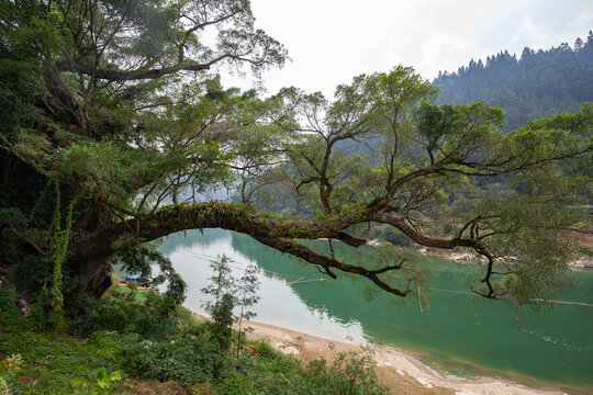 都柳江风光