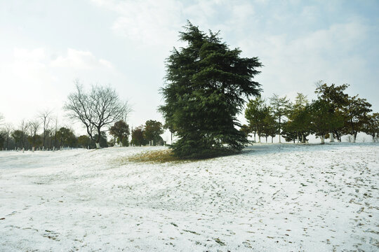 空旷雪地